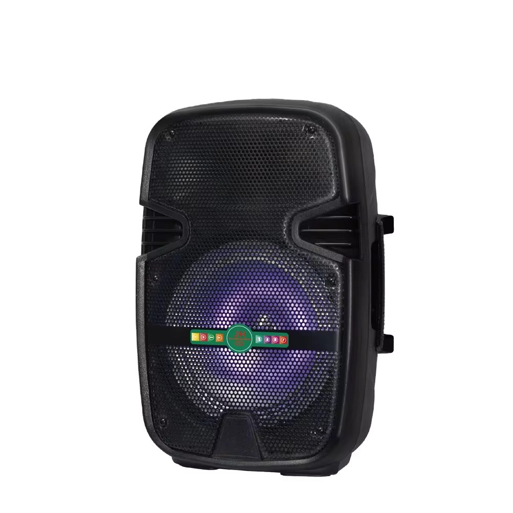 Ailipu 2022 — haut-parleur 8 pouces, avec amplificateur de basses, portable, pour l'extérieur, 1000W, triple haut-parleur 1.5 pouces